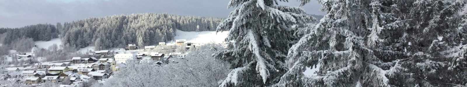 Ausblick im Winter
